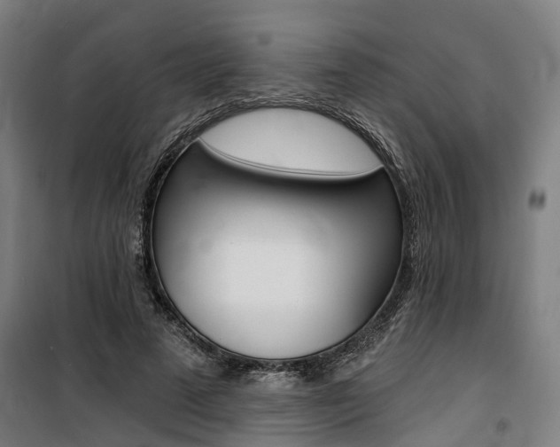 X0000100870689200806200903