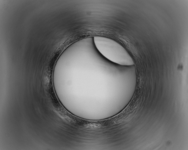 X0000100870691200806200903
