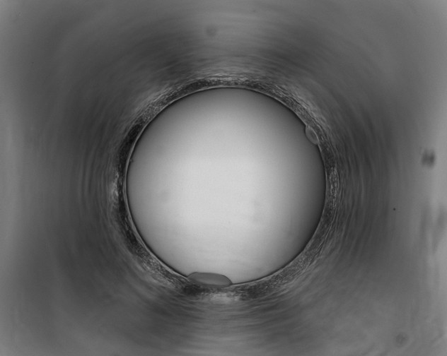 X0000100870692200806200903
