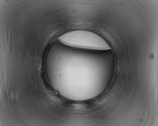 X0000100870693200806200903