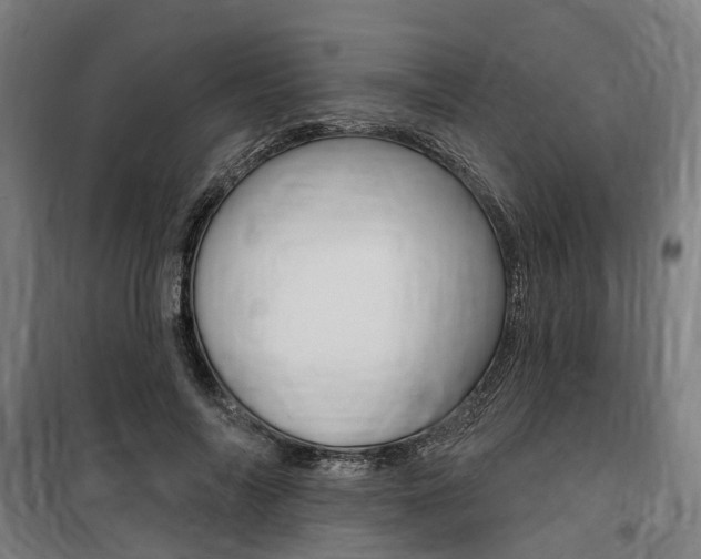 X0000100870694200806200903
