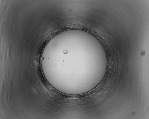 X0000100870695200806200903