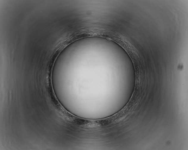 X0000100870696200806200903