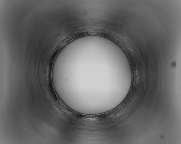 X0000100870698200806200903