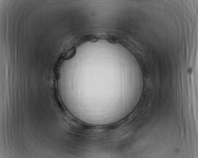 X0000100870702200806200903