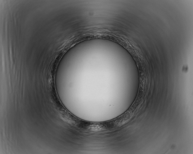 X0000100870704200806200903
