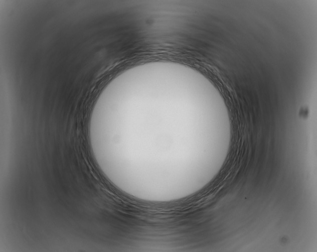 X0000100870705200806200903