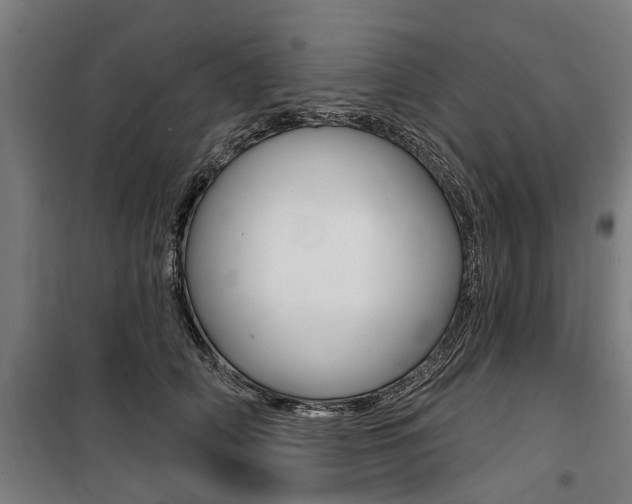 X0000100870706200806200903