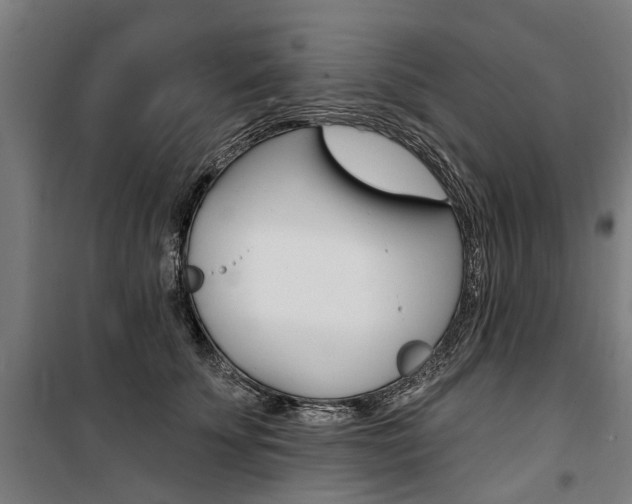 X0000100870707200806200903