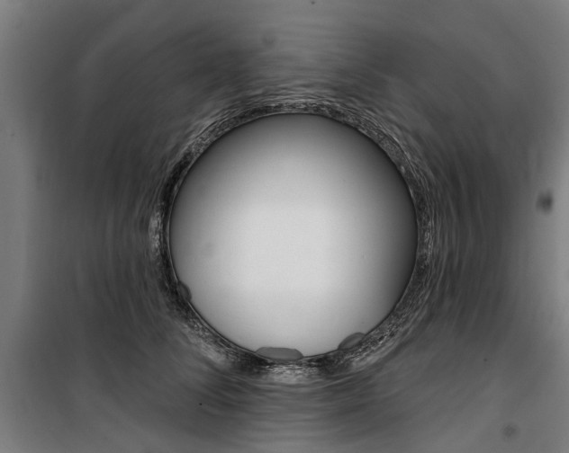 X0000100870708200806200903