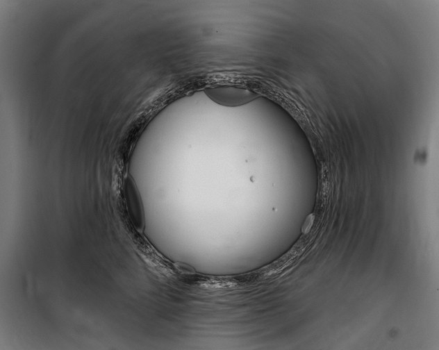 X0000100870712200806200903