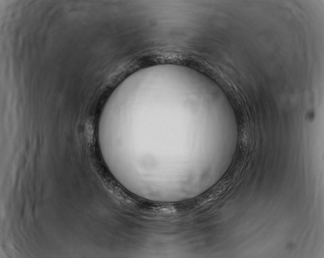 X0000100870715200806200903