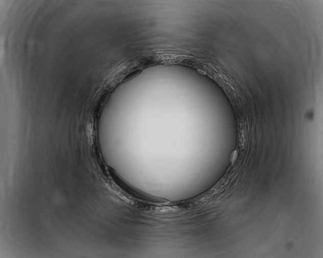 X0000100870716200806200903