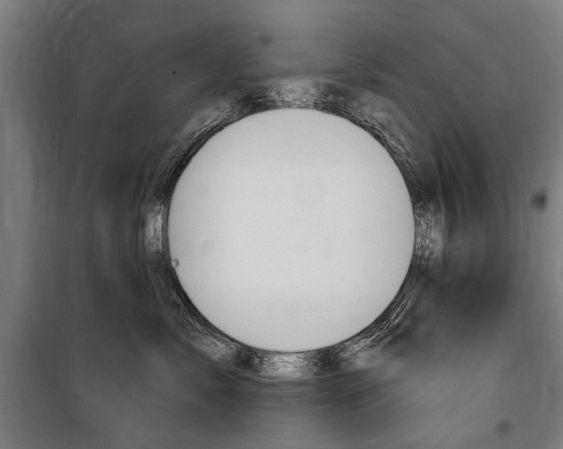 X0000100870717200806200903