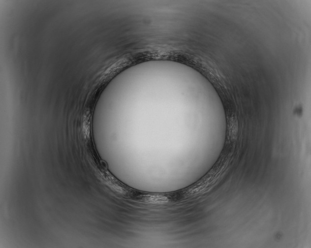 X0000100870719200806200903
