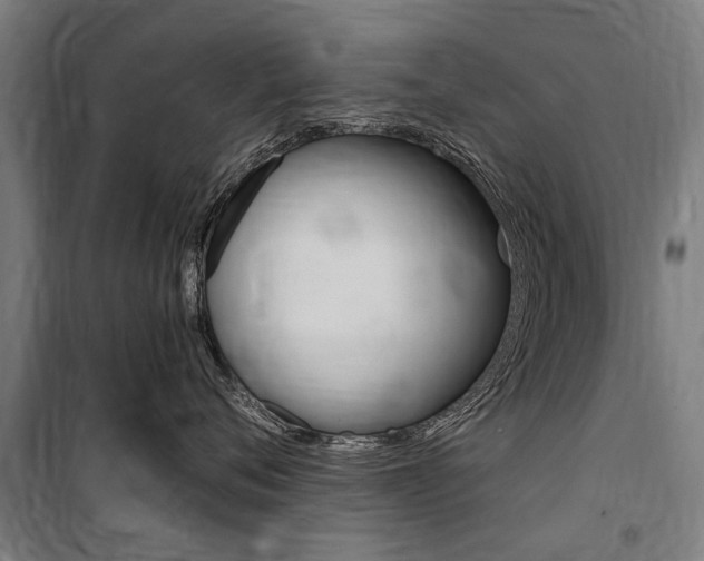 X0000100870720200806200903