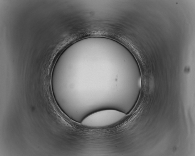 X0000100870721200806200902