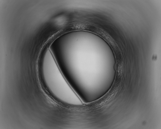 X0000100870722200806200902