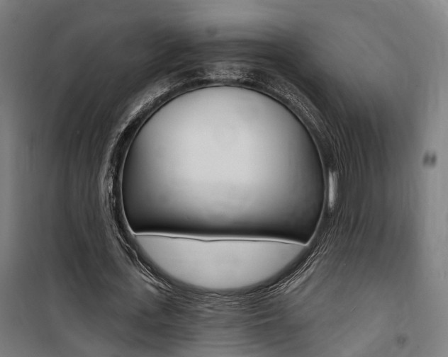 X0000100870723200806200902
