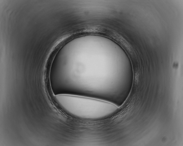 X0000100870724200806200902