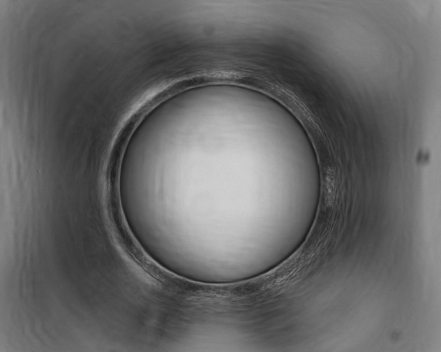 X0000100870726200806200902