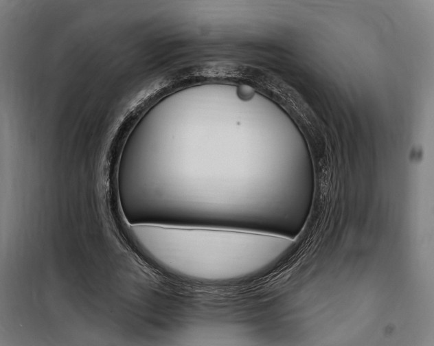 X0000100870727200806200902