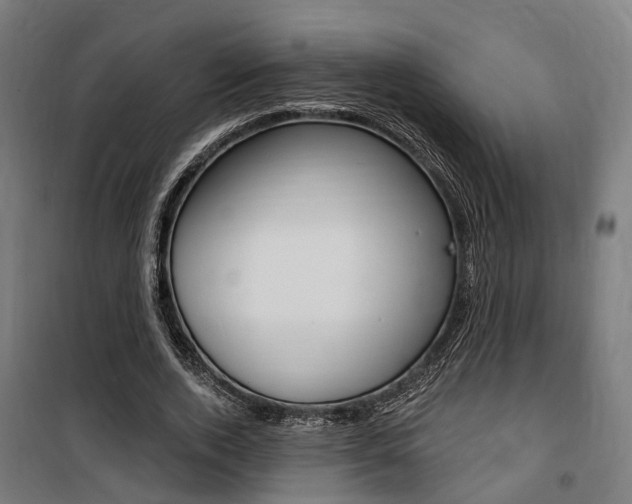 X0000100870728200806200902