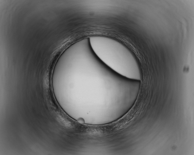 X0000100870729200806200902