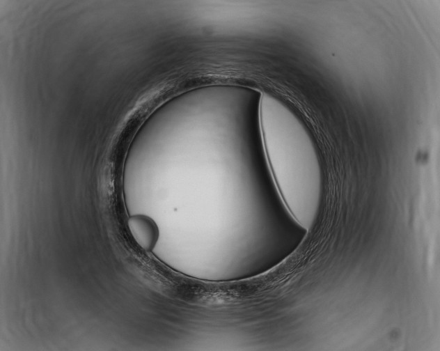 X0000100870731200806200902