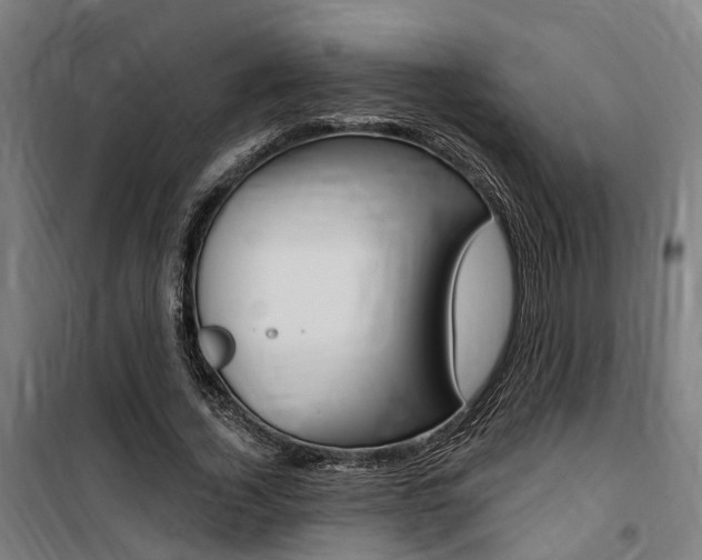 X0000100870732200806200902