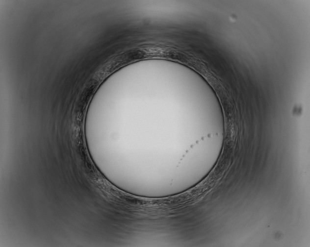 X0000100870737200806200902