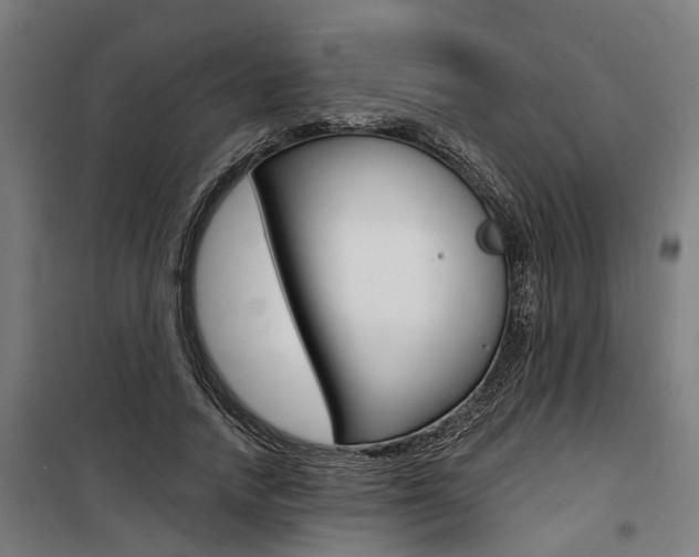 X0000100870738200806200902