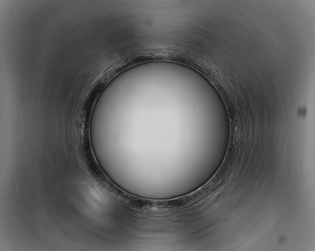 X0000100870739200806200902