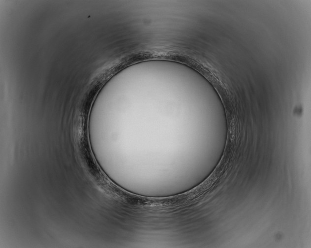 X0000100870740200806200902
