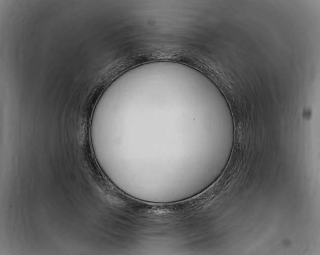 X0000100870741200806200902