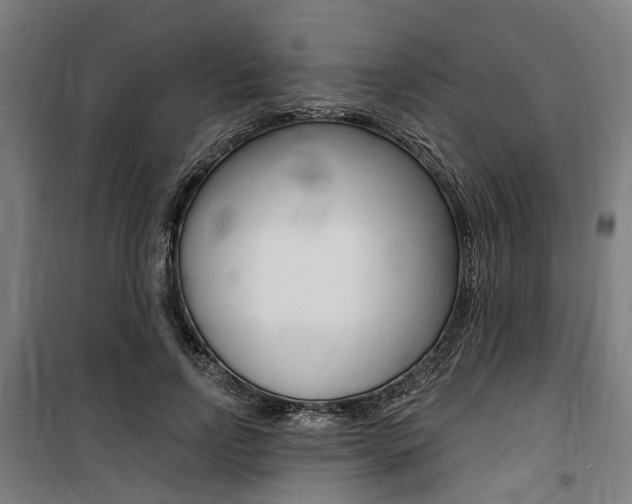 X0000100870742200806200902