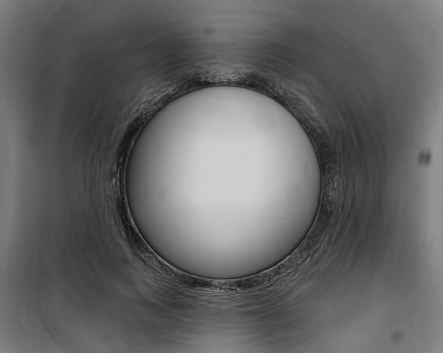 X0000100870743200806200902