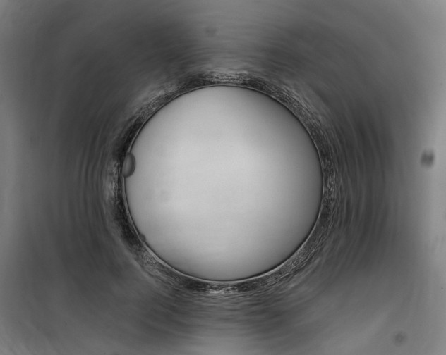 X0000100870744200806200902