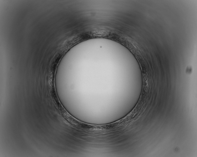X0000100870745200806200902