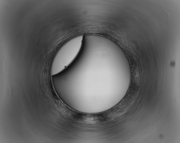 X0000100870746200806200902