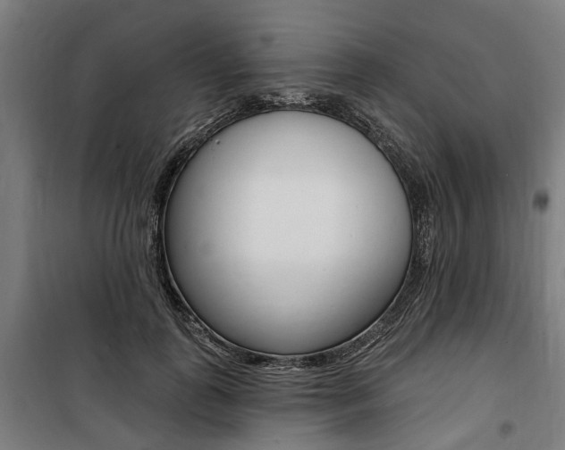 X0000100870747200806200902