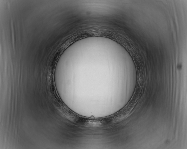 X0000100870749200806200902