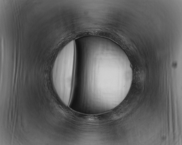X0000100870750200806200902