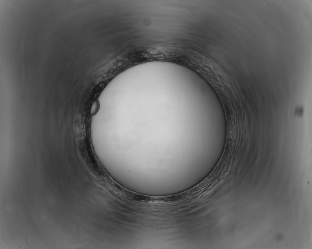 X0000100870751200806200902