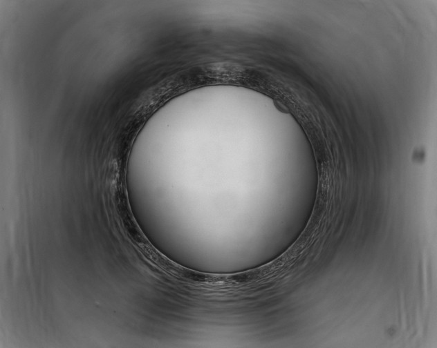 X0000100870752200806200902