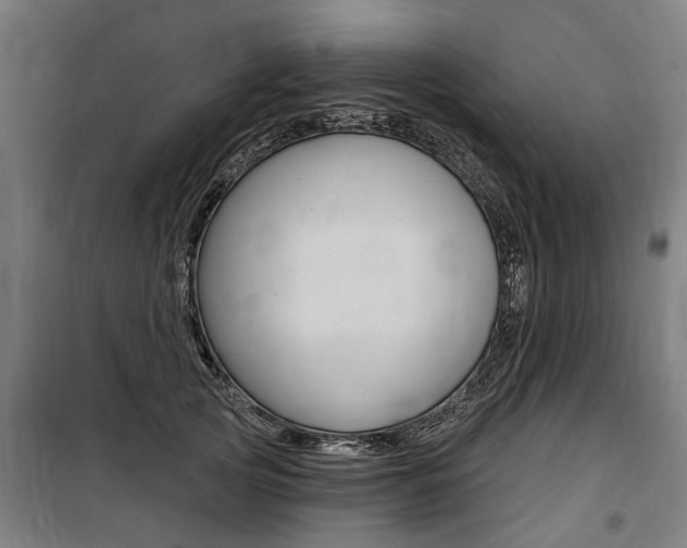 X0000100870753200806200902
