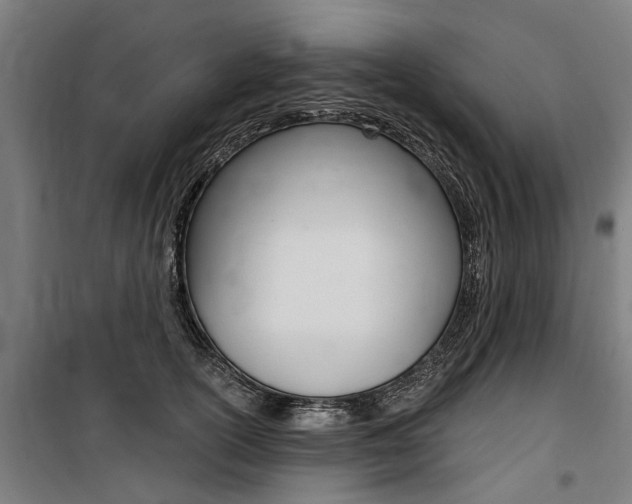 X0000100870754200806200902