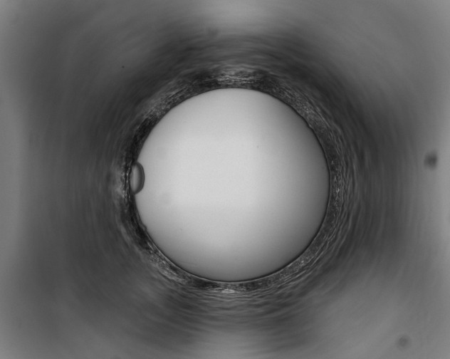 X0000100870755200806200902