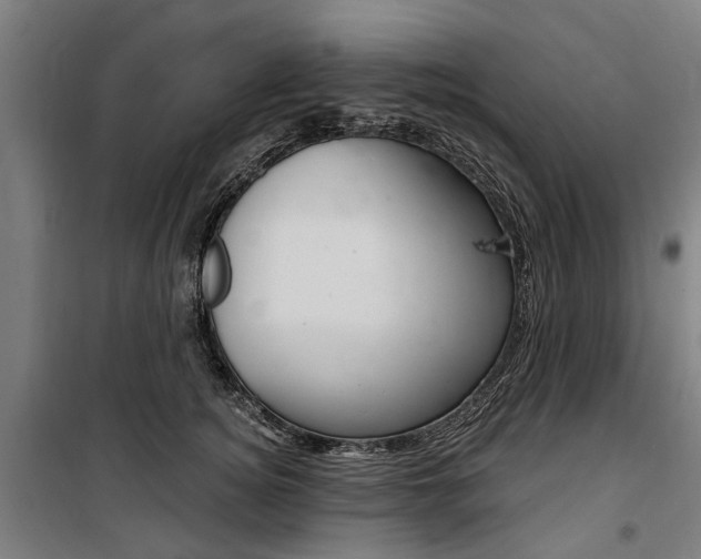 X0000100870756200806200902