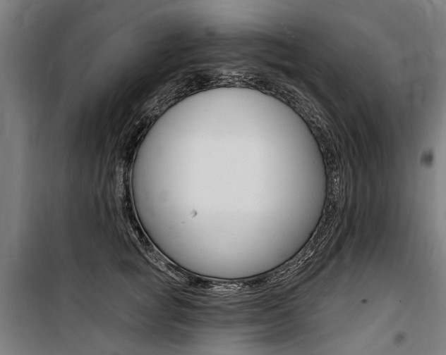 X0000100870757200806200902